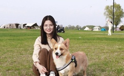 最近免费中文字幕大全高清10